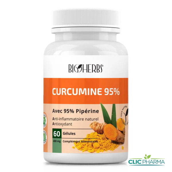 BIOHERBS CURCUMINE 95% (60 GELULES)