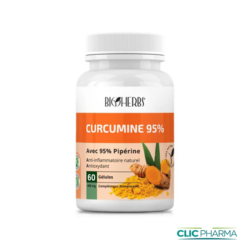 BIOHERBS CURCUMINE 95% GELULES B60 500