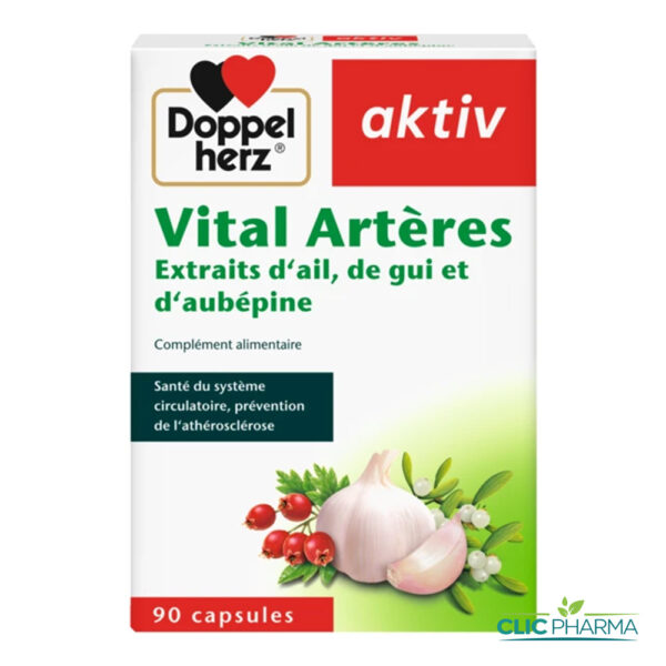 AKTIV VITAL ARTERES (90 CAPSULES)