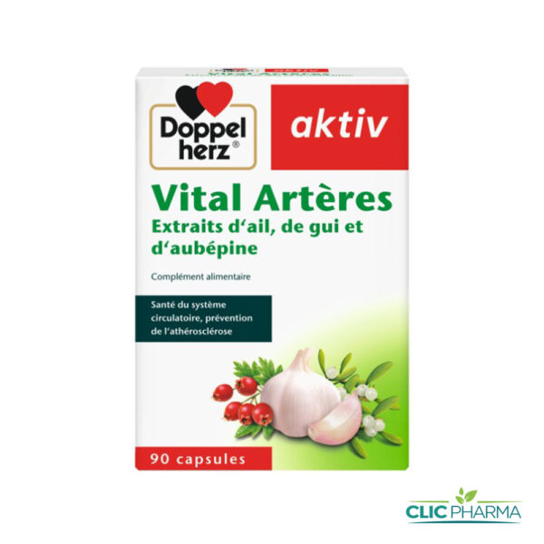 AKTIV VITAL ARTÈRES (90 CAPSULES)