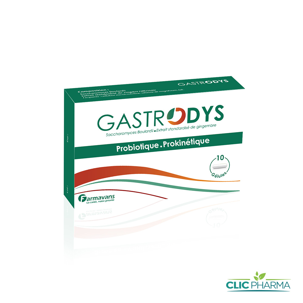 FARMAVANS GASTRODYS GELULE B10