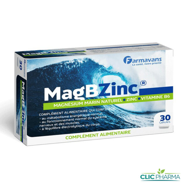 FARMAVANS MAGBZINC (30 GELULES)