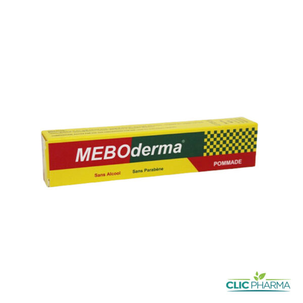 PHYTOEVER MEBODERMA POMMADE 40G