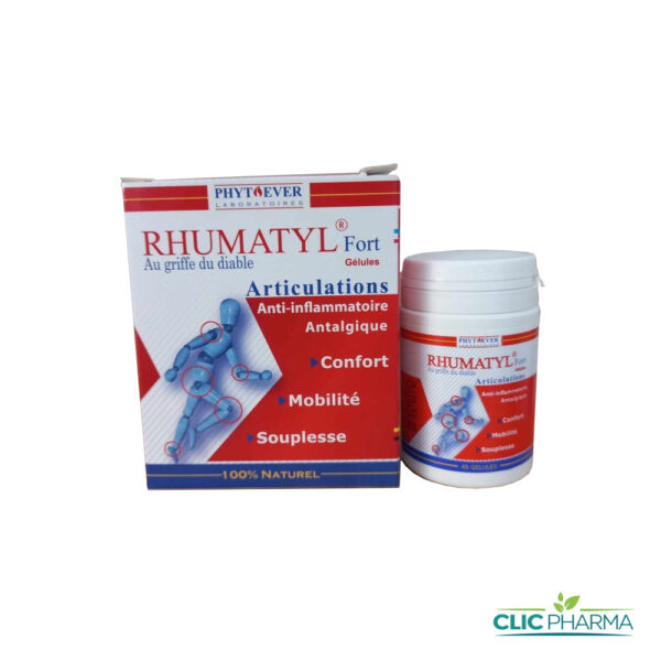 PHYTOEVER RHUMATYL FORT (45 GELULES)