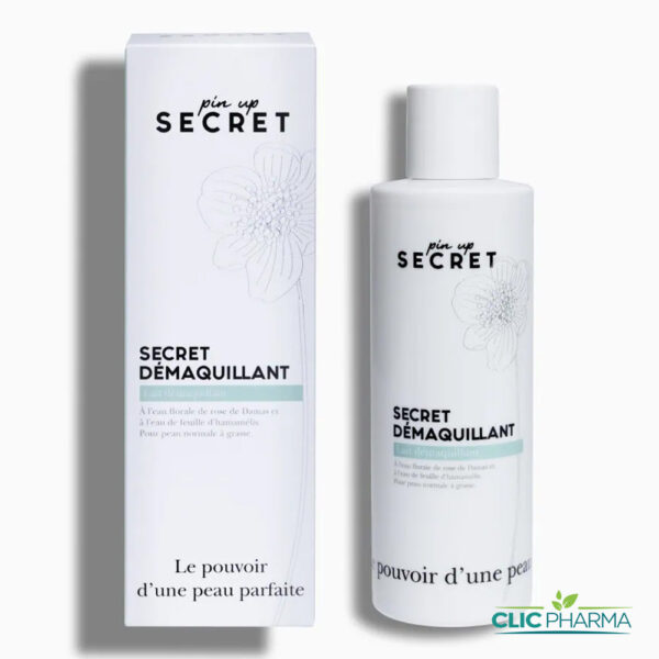 PIN UP SECRET LAIT DEMAQUILANT 200ML