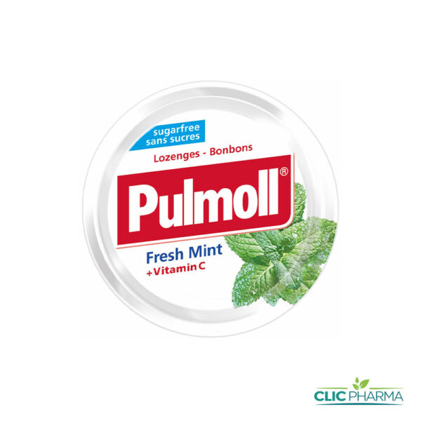 PULMOLL SANS SUCRE FRESH MINT 45g