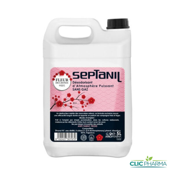 SEPTANIL BIDON DÉSODORISANT DÉSINFECTANT ANTISEPTISUE FLEUR DE CHINE 5L
