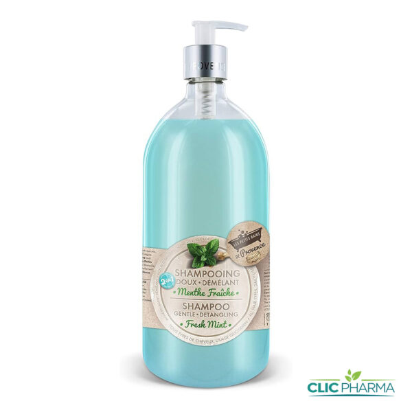 LES PETITS BAINS DE PROVENCE SHAMPOING 2EN1 MENTHE FRAICHE 1L