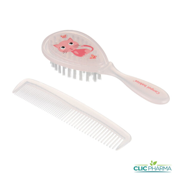 CANPOL BABIE BROSSE + PEIGNE 0M+TEDDY ROSE (REF: 2/419)