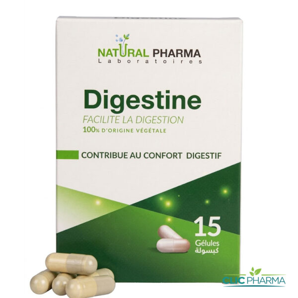 NATURAL PHARMA DIGESTINE (15 GELULES)